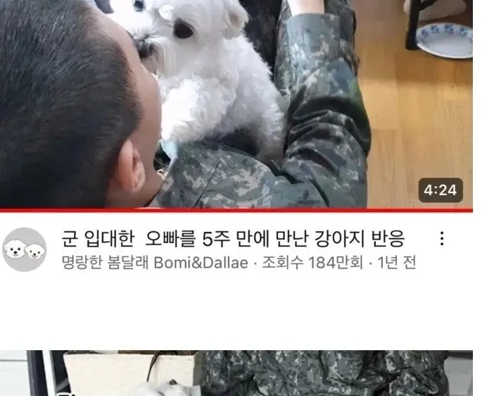 軍隊の兄を毎日待っていた子犬.jpg