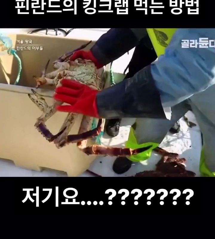 (SOUND)韓国人が見れば極大ノハルキングラップを食べる方法