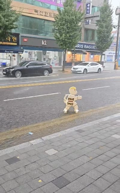 大雨でロックされた道路でサーフィンを楽しむ無概念