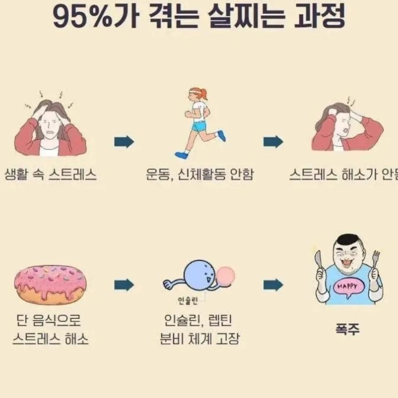 95%が苦しむ太るプロセス。