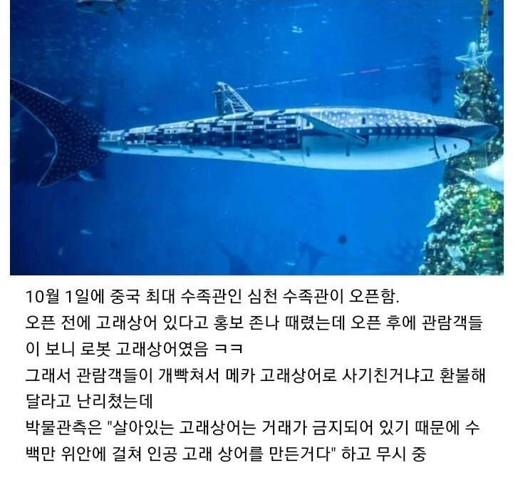 今月オープンした中国最大のアクアリウムクジラサメ.jpg