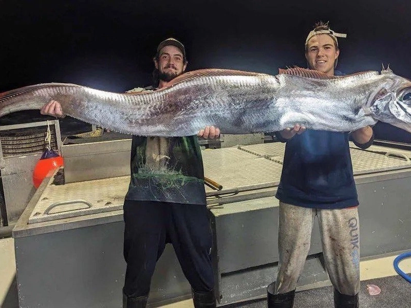 ヨンガリ釣りオーストラリア釣り同好会の近況