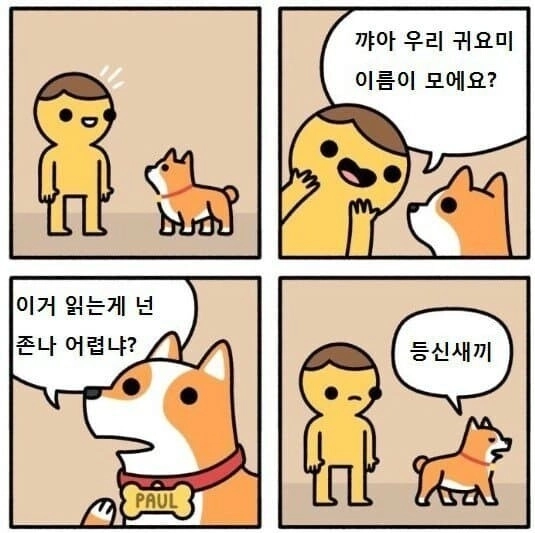 “””” 꺄아 우리 댕댕이 이름이 모아요 ??” 「」」