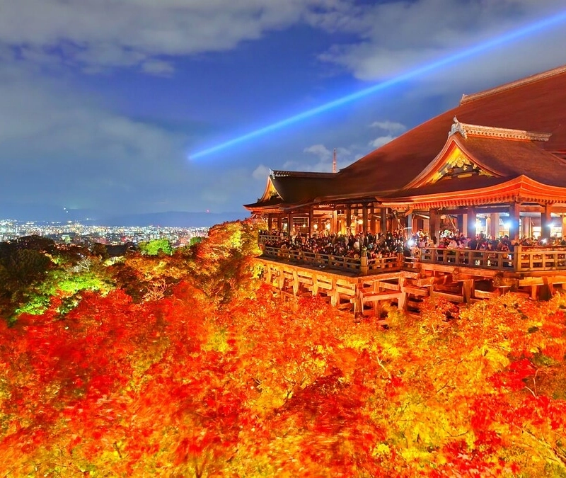 一般的な紅葉の日本の寺院の写真