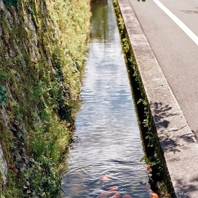 水の庭園という日本の村.jpg