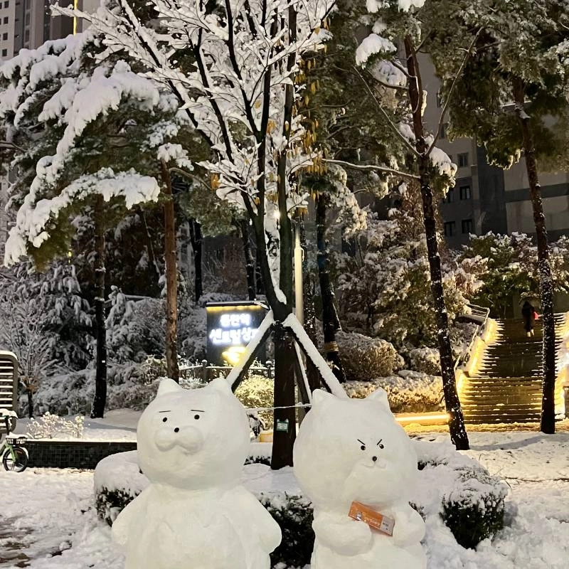 ドンタン現時点で雪だるまの状況