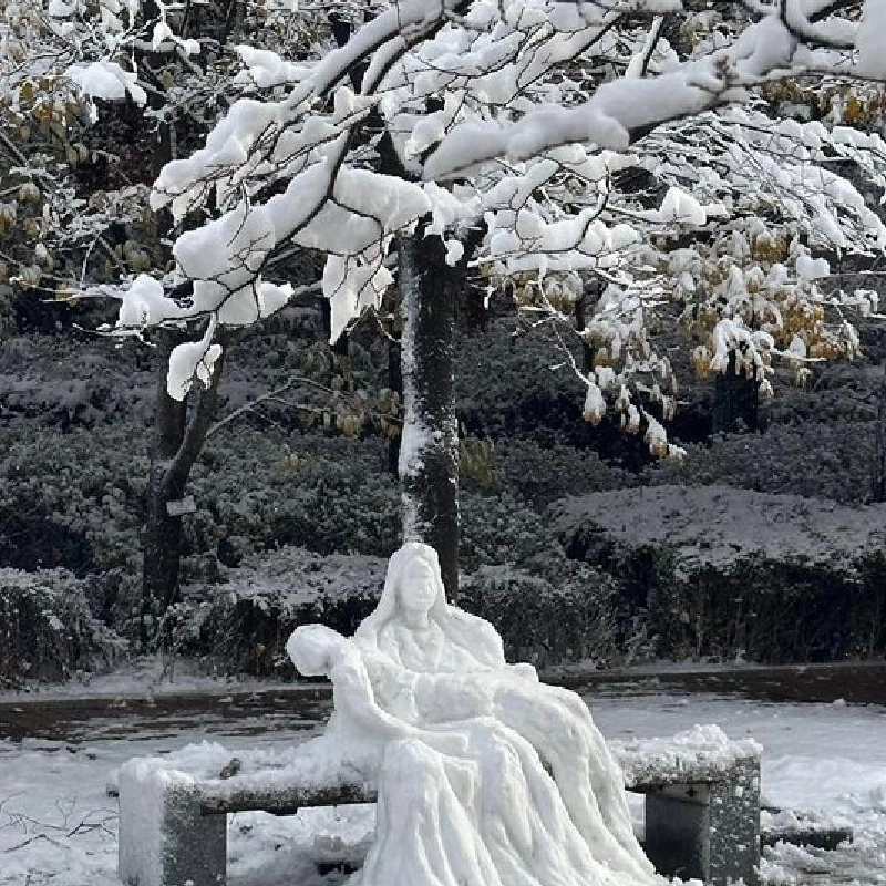 大雪に興奮した美大生