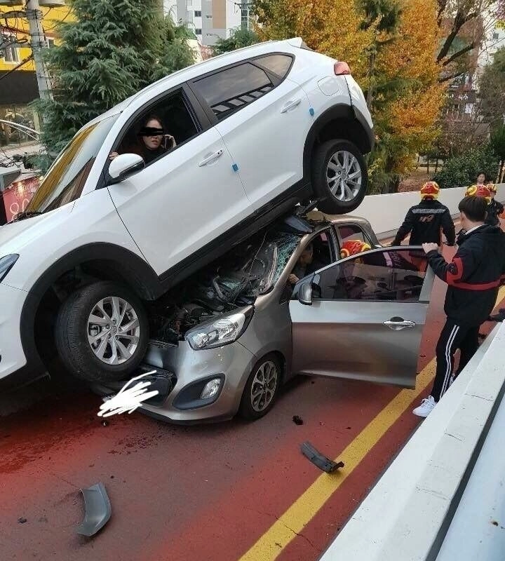 蜂蜜やちょうど車に乗った