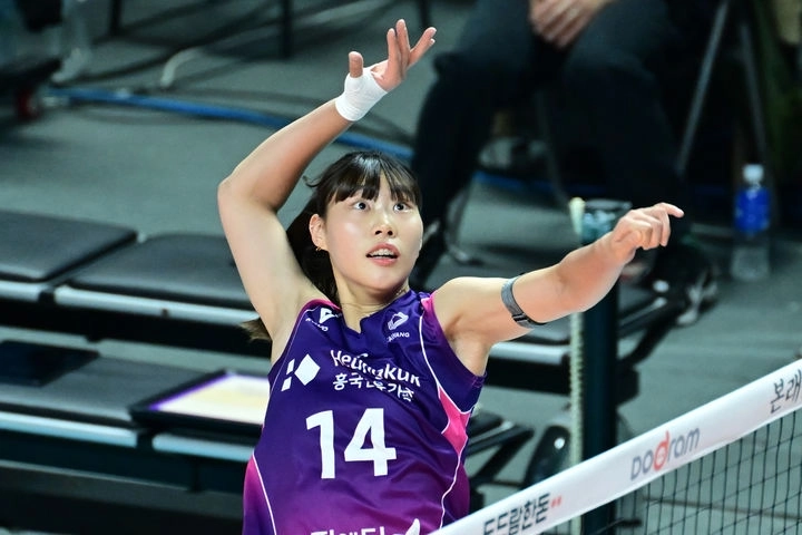 Vリーグ古人物狩り