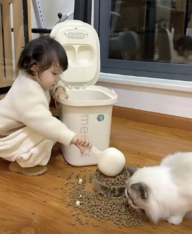 娘に””””猫が飼料をちょっと取ってほしい””””と頼んだら