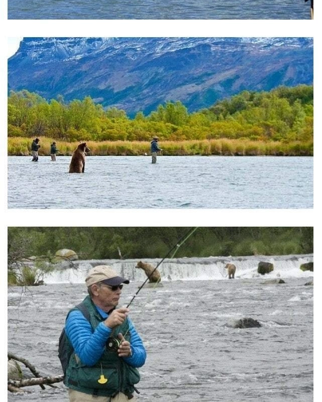 サーモンが戻る時期のアラスカの姿