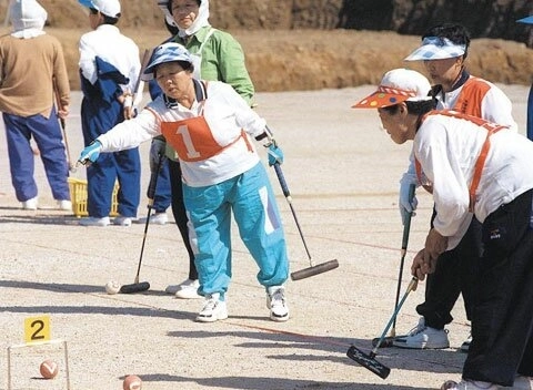 個人的には面白そうに見えますが、さっぱり入門しにくい運動