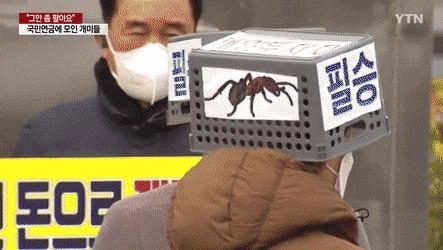 国民年金に集まったアリ。gif