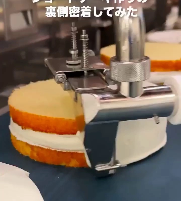 日本のケーキ工場システム