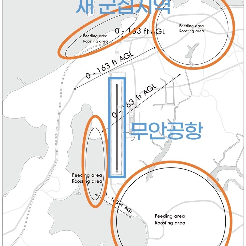 ムアン空港と渡り鳥の到来場所ㄷㄷㄷ.jpg