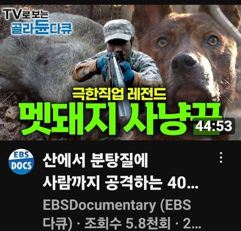 先ほど EBS ㅋㅋㅋㅋㅋㅋㅋㅋㅋㅋ