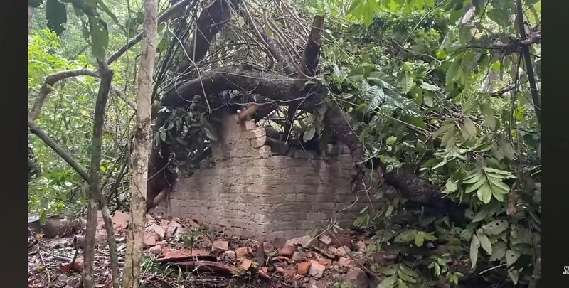 Primitive technology 近況.sad