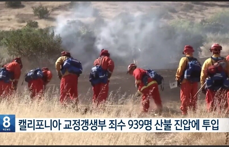 LA山火事近況（在所者投入）