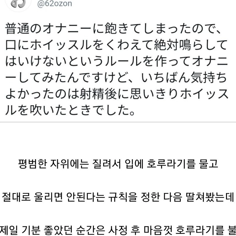 普通のオナニーに飽きた日本人