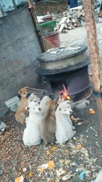 田舎のダニの福祉1階