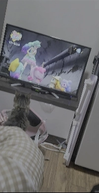 (SOUND)猫はテレビが大好きですㄷㄷㄷ