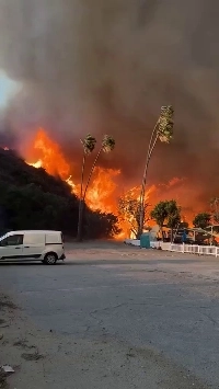 (SOUND)目の前で見るアメリカの山火事。mp4