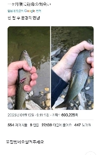 私はあなたが1か月前に救った魚でした