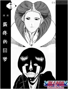 ㅆㄷ）Bleach Hojeong 13th Captain、Commander.jpgのコレクション