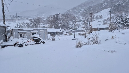 昨年の最初の光景に建てられた60cmの雪の田舎のステータス