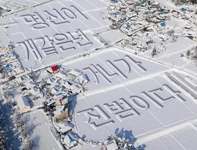 大雪航空会社の写真