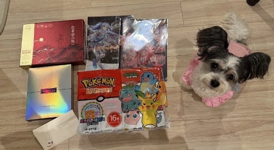 私はハタノ・ユイからよく到着しました。