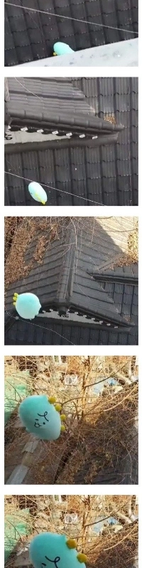 ニンジンマーケットカンテゴン