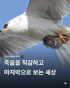 幸せな世界のげっ歯類ㅋㅋㅋㅋㅋㅋ