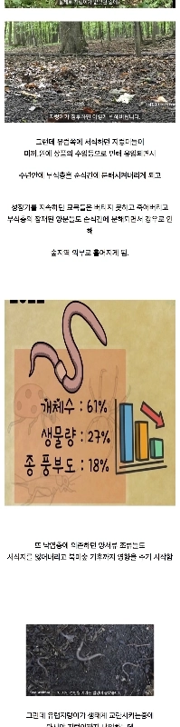 驚くべきことにアメリカの生態系を破壊しました