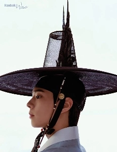 Park Bo -GumのHanbok Pictorial Pictorial