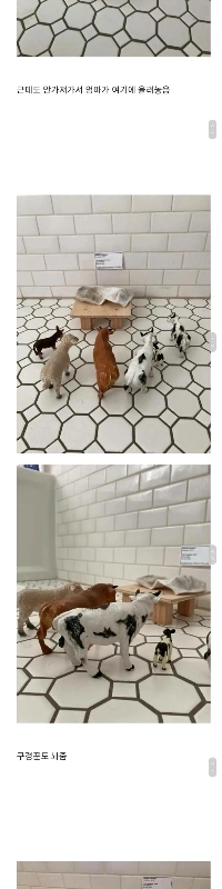 娘の靴下がバスルームに展示されています