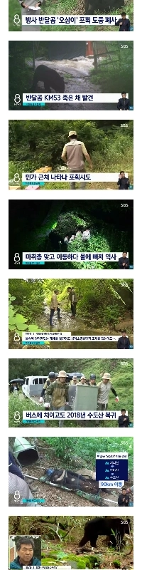 自家製の家に来た後に亡くなったハーフムーンベア