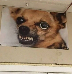 cctv.jpgは完全に変装しました