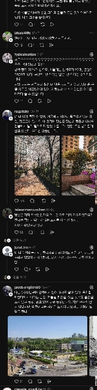 アメリカの英語の先生」「韓国の都市には木も花もありません」