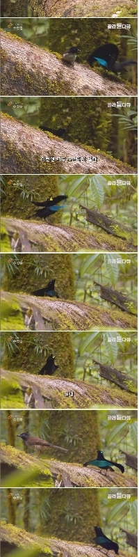 誰も私を愛していません。