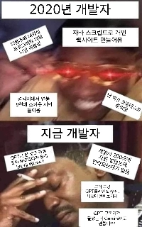 2020開発者vs.最近