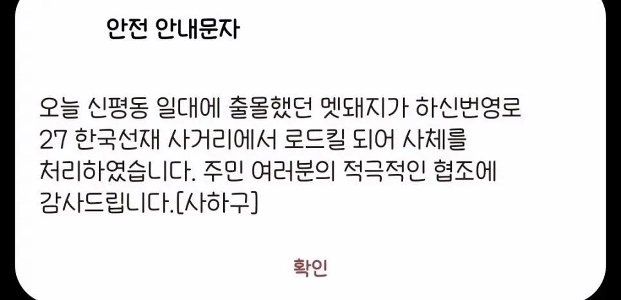 住民の積極的な協力に巻き込まれたワイルドイノシシ