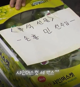 息子ヒョン-minJPGは、空港の空港から3箱の輝く口の猫を受け取りました