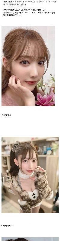 今回AV女優の間で破裂する法的紛争