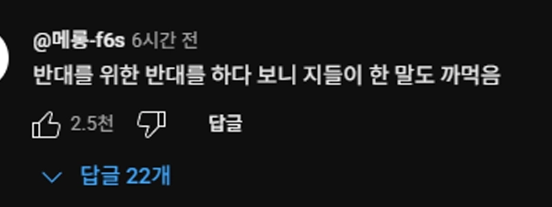 結局のところ、「尹政策」は大逆転で「ブーメランに見舞われた」チュ・ジヌの現在