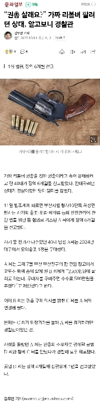 「ピストルを買いませんか？」私に偽のリボルバーを売ろうとした人は警察官だった。
