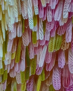 よく見るととても可愛らしい生き物です。