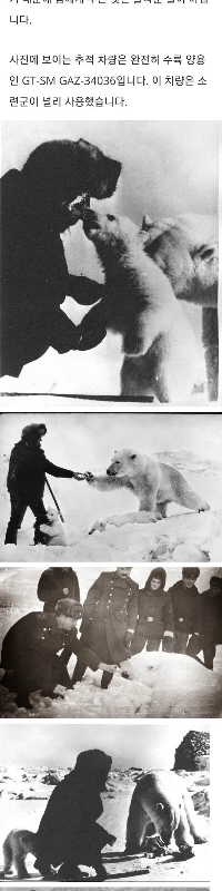 ホッキョクグマに遭遇した後にソ連軍がとった行動.jpg