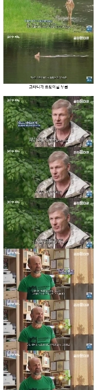 朝鮮半島に戻ってくる猛獣たち