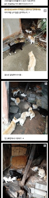 麻痺のある祖母の家に食事を残す介護職員。